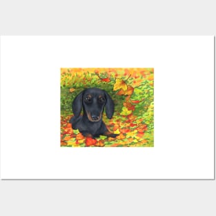 Dog 142 Dachshund Fall Autumn Posters and Art